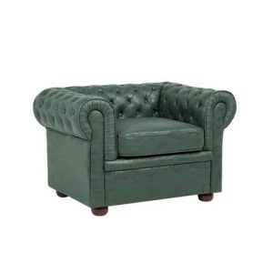 Fauteuil Beliani Groen