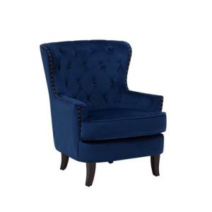 Fauteuil Beliani Blauw