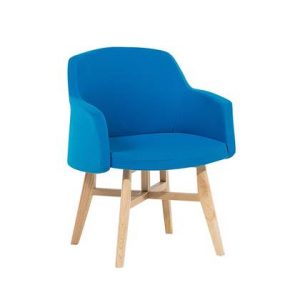 Fauteuil Beliani Blauw