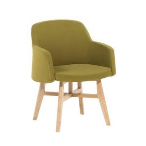 Fauteuil Beliani Groen