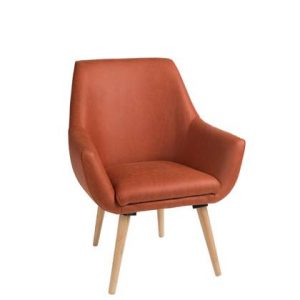 Fauteuil Duverger Bruin