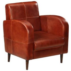 Fauteuil vidaXL Bruin