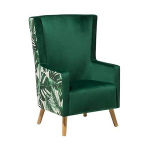 Fauteuil Beliani Groen