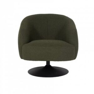 Fauteuil Giga Meubel Groen