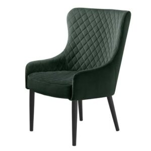 Fauteuil Hioshop Groen