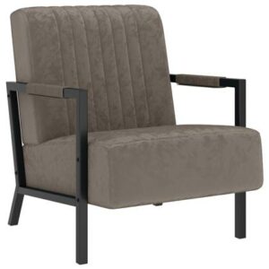 Fauteuil vidaXL Grijs