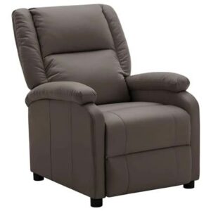 Fauteuil vidaXL Bruin