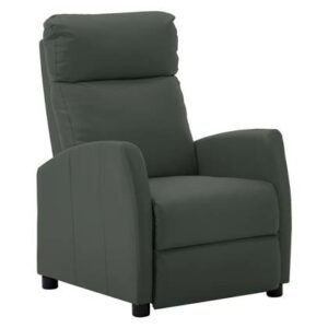 Fauteuil vidaXL Grijs