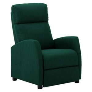 Fauteuil vidaXL Groen