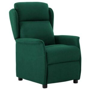 Fauteuil vidaXL Groen