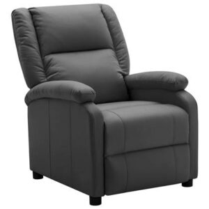 Fauteuil vidaXL Antraciet