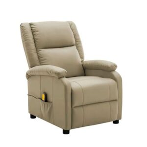 Fauteuil vidaXL Bruin