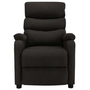 Fauteuil vidaXL Bruin