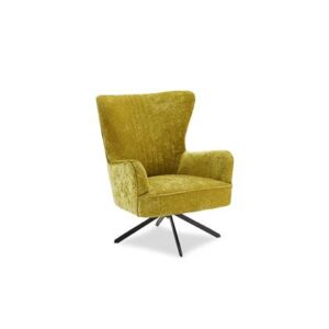 Fauteuil Hioshop Groen