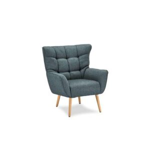 Fauteuil Hioshop Blauw