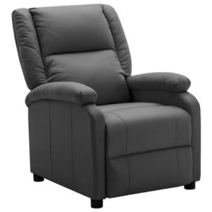 Fauteuil vidaXL Antraciet