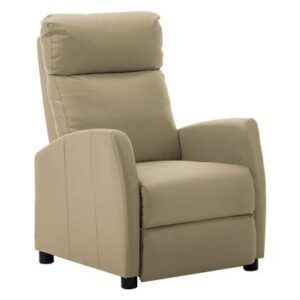 Fauteuil vidaXL Bruin