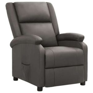 Fauteuil vidaXL Grijs