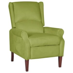 Fauteuil vidaXL Groen