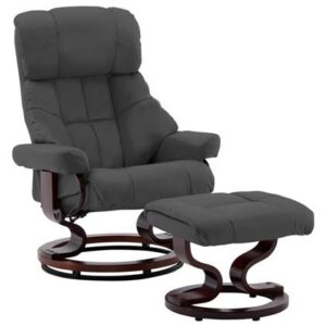 Fauteuil vidaXL Antraciet