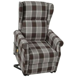 Fauteuil vidaXL Bruin