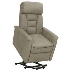 Fauteuil vidaXL Grijs