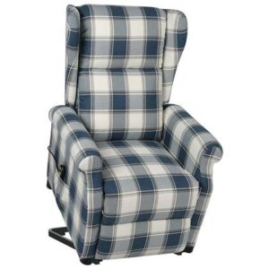 Fauteuil vidaXL Blauw