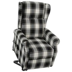 Fauteuil vidaXL Bruin