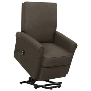 Fauteuil vidaXL Bruin