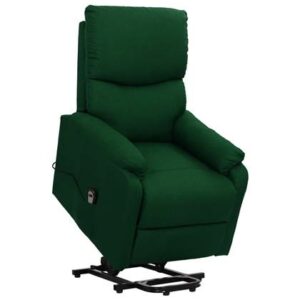 Fauteuil vidaXL Groen