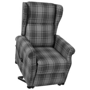 Fauteuil vidaXL Grijs