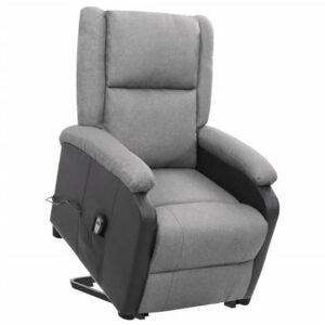 Fauteuil vidaXL Grijs