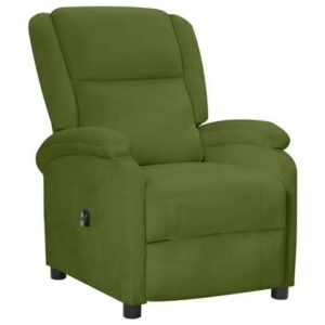 Fauteuil vidaXL Groen